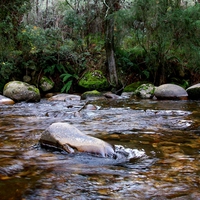 Peaceful and beautiful