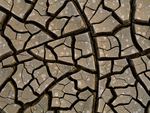 Cracked ground