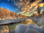 Winterscape