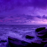 Purple Sunset