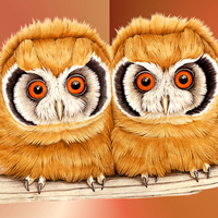 Cute Owls