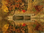Autumn reflection