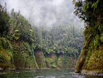 whanganui river