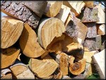 Woodpile for Winter