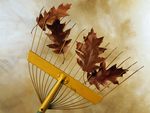 Raking Leaves 