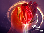 Fluid Rose