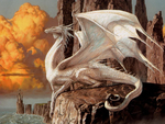 White Dragon !!!
