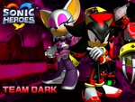 Sonic Heroes: Team Dark