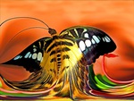 BUTTERFLY PAINT