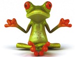 Yoga Frog...Prince?
