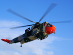 Sea King