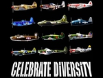 Celebrate Diversity