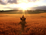 Happy Woman In Golden Wheat Field