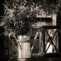 STILLLIFE IN BLACK&WHITE