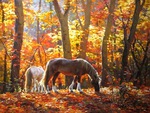 Horses in the quiet   woods