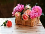A basket of roses