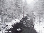 Winter Stream