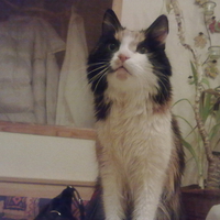 She is forever in my heart