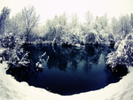 Winter Pond