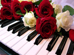 Piano Rose\'s