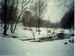 Snow On A Creek