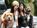 Pitbulls and Parolees sisters