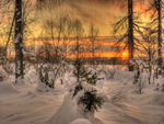 Winter-HDR