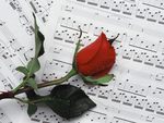 Love song and red rose