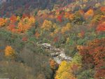 Smokey Mountain Fall