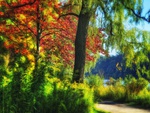 Autumn-HDR