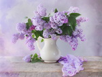 Lilac in vase
