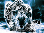 cyber leopard