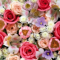 All these flowers for my friends