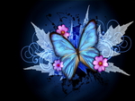 Blue butterfly