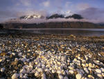 Pebbled Beach