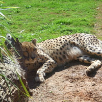 Tired After A Long Day