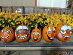 Pumpkins with a smile