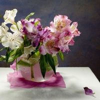 Flowers for my friend Jackii (Jacqueline )