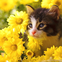 Happy birtday Joanne