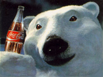 Polar Bear drinking Coke~Cola