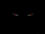 Eyes in the Dark