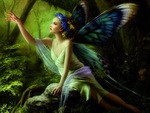 Lovely Fairie