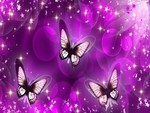 Purple Butterfly Mirage