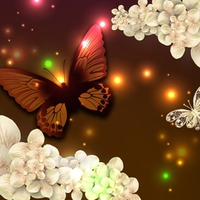 To Shine in the Light