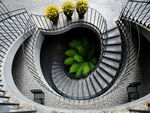 Swirl of stairs