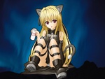 neko golden darkness