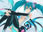 Hatsune Miku Append