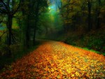 Autumn trail-HDR