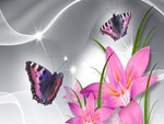 Butterflies Adorve Pink Lilies