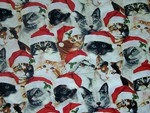 Christmas collage of Cats
